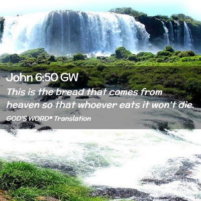 Picture 02 - John 6:50 GW - This is the bread that comes from heaven so that - Bible Verse Picture