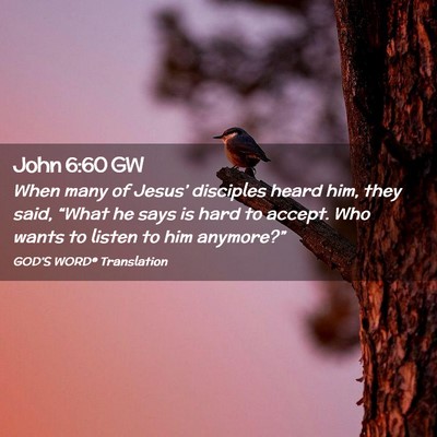 Picture 02 - John 6:60 GW - When many of Jesus’ disciples heard him, they - Bible Verse Picture