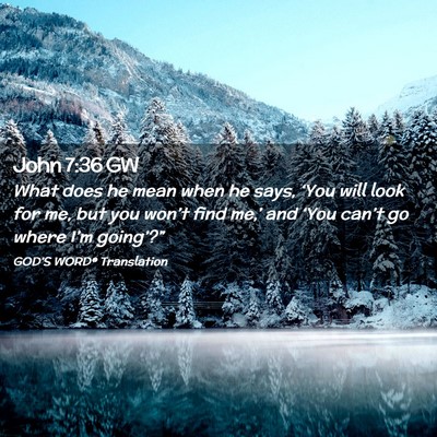 Picture 02 - John 7:36 GW - What does he mean when he says, ‘You will look - Bible Verse Picture