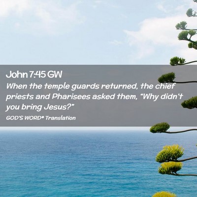 Picture 02 - John 7:45 GW - When the temple guards returned, the chief - Bible Verse Picture