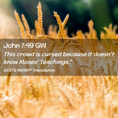 Picture 02 - John 7:49 GW - This crowd is cursed because it doesn’t know - Bible Verse Picture