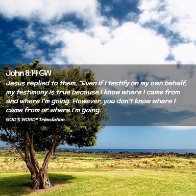 Picture 02 - John 8:14 GW - Jesus replied to them, “Even if I testify on my - Bible Verse Picture