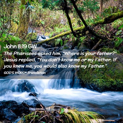 Picture 02 - John 8:19 GW - The Pharisees asked him, “Where is your - Bible Verse Picture