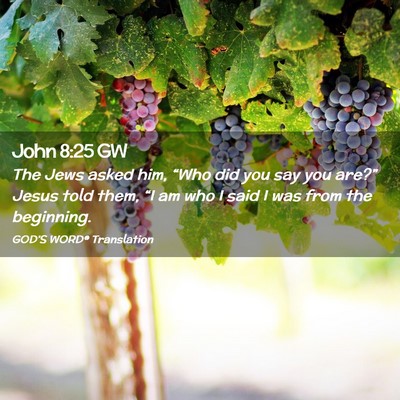 Picture 02 - John 8:25 GW - The Jews asked him, “Who did you say you - Bible Verse Picture