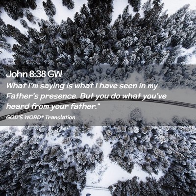 Picture 02 - John 8:38 GW - What I’m saying is what I have seen in my - Bible Verse Picture