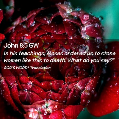Picture 02 - John 8:5 GW - In his teachings, Moses ordered us to stone women - Bible Verse Picture