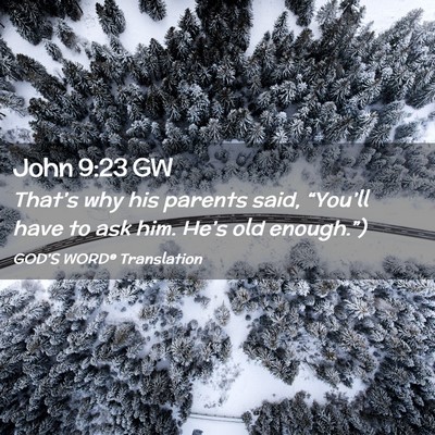 Picture 02 - John 9:23 GW - That’s why his parents said, “You’ll have - Bible Verse Picture