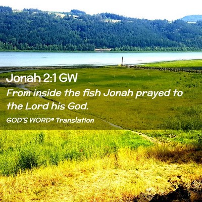 Picture 02 - Jonah 2:1 GW - From inside the fish Jonah prayed to the Lord his - Bible Verse Picture