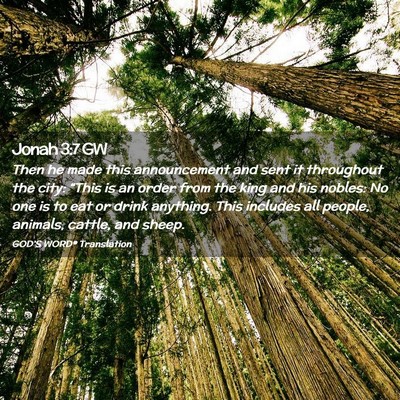 Picture 02 - Jonah 3:7 GW - Then he made this announcement and sent it - Bible Verse Picture