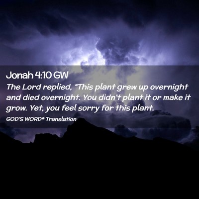 Picture 02 - Jonah 4:10 GW - The Lord replied, “This plant grew up overnight - Bible Verse Picture