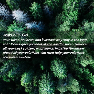 Picture 02 - Joshua 1:14 GW - Your wives, children, and livestock may stay in - Bible Verse Picture