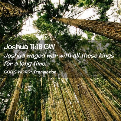 Picture 02 - Joshua 11:18 GW - Joshua waged war with all these kings for a long - Bible Verse Picture