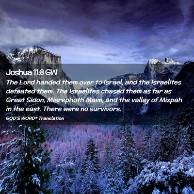 Picture 02 - Joshua 11:8 GW - The Lord handed them over to Israel, and the - Bible Verse Picture