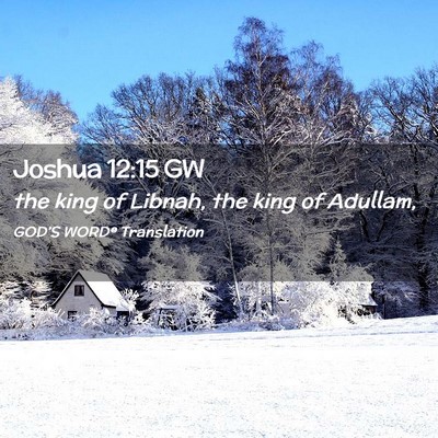 Picture 02 - Joshua 12:15 GW - the king of Libnah, the king of - Bible Verse Picture
