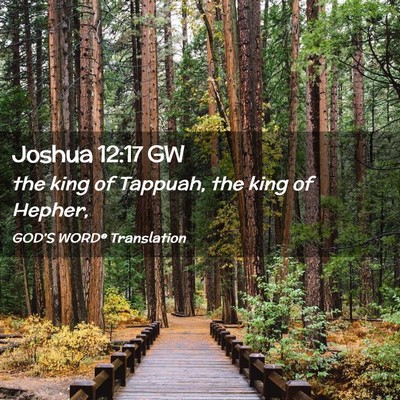 Picture 02 - Joshua 12:17 GW - the king of Tappuah, the king of - Bible Verse Picture