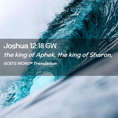 Picture 02 - Joshua 12:18 GW - the king of Aphek, the king of - Bible Verse Picture