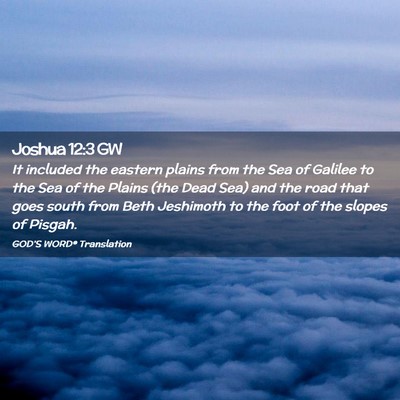 Picture 02 - Joshua 12:3 GW - It included the eastern plains from the Sea of - Bible Verse Picture