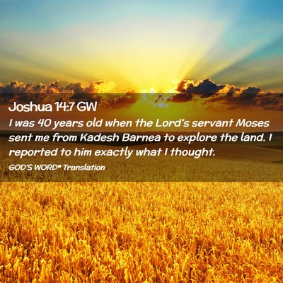 Picture 02 - Joshua 14:7 GW - I was 40 years old when the Lord’s servant - Bible Verse Picture
