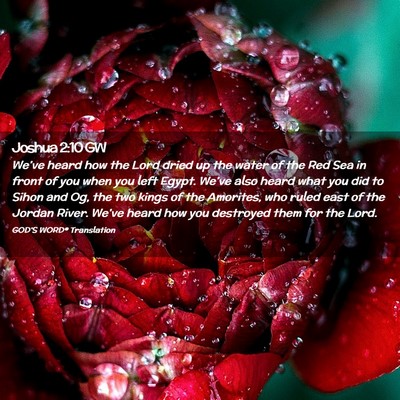 Picture 02 - Joshua 2:10 GW - We’ve heard how the Lord dried up the water of - Bible Verse Picture