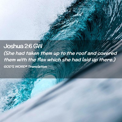 Picture 02 - Joshua 2:6 GW - (She had taken them up to the roof and covered - Bible Verse Picture