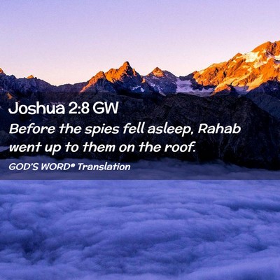 Picture 02 - Joshua 2:8 GW - Before the spies fell asleep, Rahab went up to - Bible Verse Picture