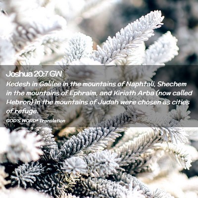Picture 02 - Joshua 20:7 GW - Kedesh in Galilee in the mountains of Naphtali, - Bible Verse Picture
