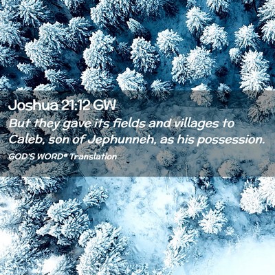 Picture 02 - Joshua 21:12 GW - But they gave its fields and villages to Caleb, - Bible Verse Picture
