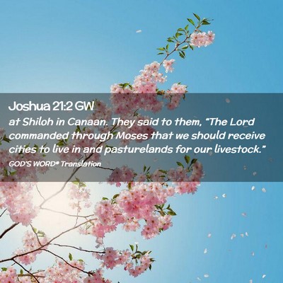 Picture 02 - Joshua 21:2 GW - at Shiloh in Canaan. They said to them, “The - Bible Verse Picture