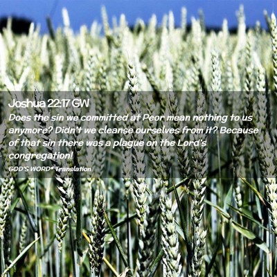 Picture 02 - Joshua 22:17 GW - Does the sin we committed at Peor mean nothing to - Bible Verse Picture