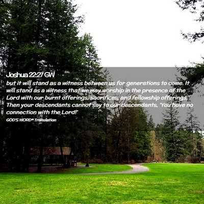 Picture 02 - Joshua 22:27 GW - but it will stand as a witness between us for - Bible Verse Picture