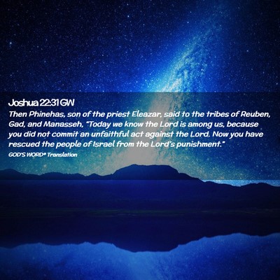 Picture 02 - Joshua 22:31 GW - Then Phinehas, son of the priest Eleazar, said to - Bible Verse Picture