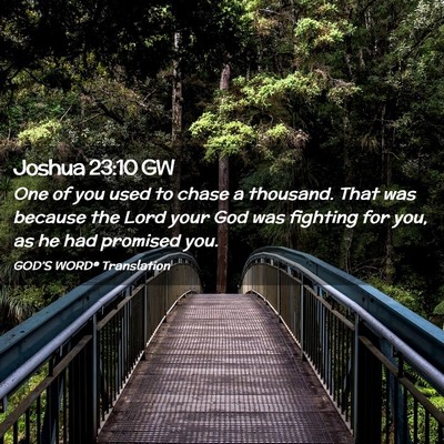 Picture 02 - Joshua 23:10 GW - One of you used to chase a thousand. That was - Bible Verse Picture