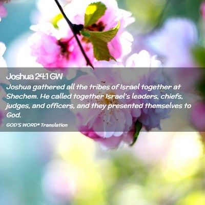Picture 02 - Joshua 24:1 GW - Joshua gathered all the tribes of Israel together - Bible Verse Picture
