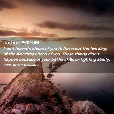 Picture 02 - Joshua 24:12 GW - I sent hornets ahead of you to force out the two - Bible Verse Picture