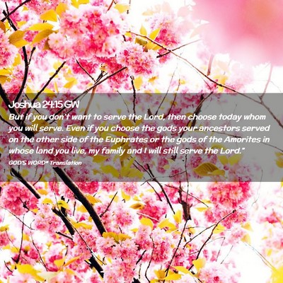Picture 02 - Joshua 24:15 GW - But if you don’t want to serve the Lord, then - Bible Verse Picture
