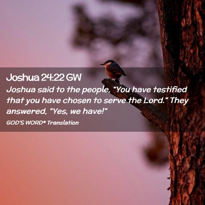 Picture 02 - Joshua 24:22 GW - Joshua said to the people, “You have testified - Bible Verse Picture