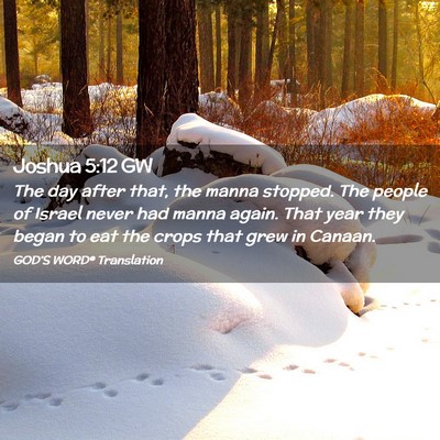 Picture 02 - Joshua 5:12 GW - The day after that, the manna stopped. The people - Bible Verse Picture