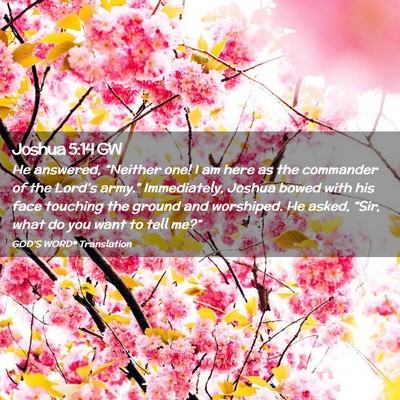 Picture 02 - Joshua 5:14 GW - He answered, “Neither one! I am here as the - Bible Verse Picture