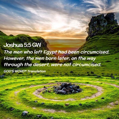 Picture 02 - Joshua 5:5 GW - The men who left Egypt had been circumcised. - Bible Verse Picture