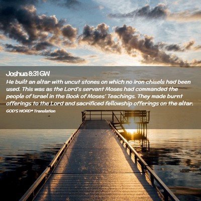 Picture 02 - Joshua 8:31 GW - He built an altar with uncut stones on which no - Bible Verse Picture