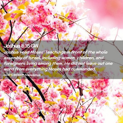 Picture 02 - Joshua 8:35 GW - Joshua read Moses’ Teachings in front of the - Bible Verse Picture