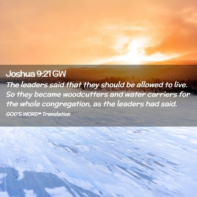 Picture 02 - Joshua 9:21 GW - The leaders said that they should be allowed to - Bible Verse Picture