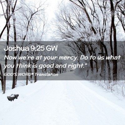 Picture 02 - Joshua 9:25 GW - Now we’re at your mercy. Do to us what you - Bible Verse Picture