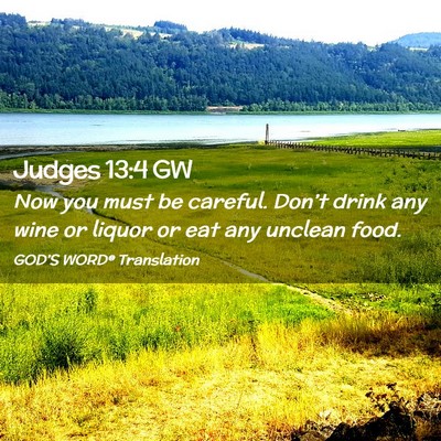 Picture 02 - Judges 13:4 GW - Now you must be careful. Don’t drink any wine - Bible Verse Picture