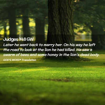Picture 02 - Judges 14:8 GW - Later he went back to marry her. On his way he - Bible Verse Picture
