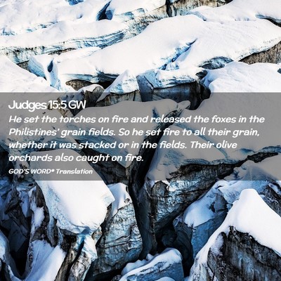 Picture 02 - Judges 15:5 GW - He set the torches on fire and released the foxes - Bible Verse Picture