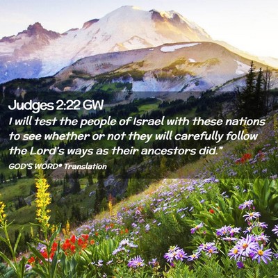 Picture 02 - Judges 2:22 GW - I will test the people of Israel with these - Bible Verse Picture