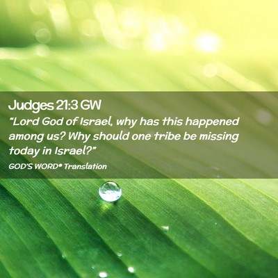 Picture 02 - Judges 21:3 GW - “Lord God of Israel, why has this happened - Bible Verse Picture
