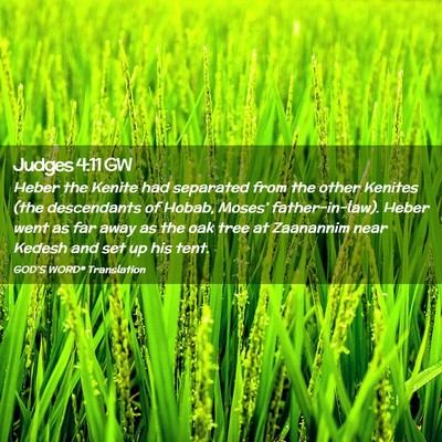 Picture 02 - Judges 4:11 GW - Heber the Kenite had separated from the other - Bible Verse Picture