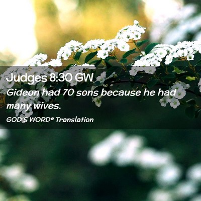 Picture 02 - Judges 8:30 GW - Gideon had 70 sons because he had many - Bible Verse Picture